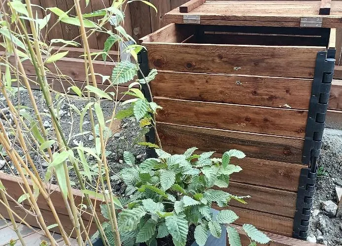 Bio Corti 12 Personnes * La Plagne